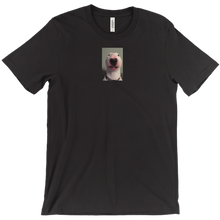 PINKhoodieDUDE T-Shirts