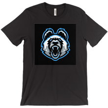 p4nd1xd T-Shirts