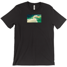 duck_tafi_ T-Shirts