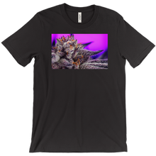 Kushector T-Shirt 1