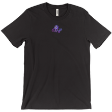 shiryucareca T-Shirts