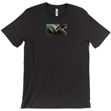bksterles T-Shirts