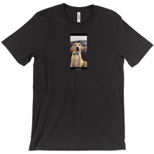 burrough20 T-Shirts