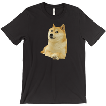 dogemcthuginton T-Shirts