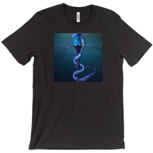 pallando2 T-Shirts