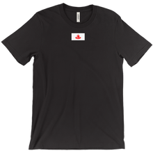 rayplays1212 T-Shirts