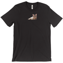 billythekid391 T-Shirts