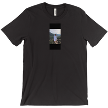 joaovitordevargas T-Shirts
