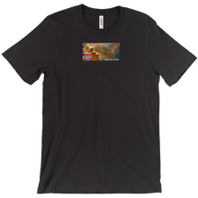 b_rabbitttt T-Shirts