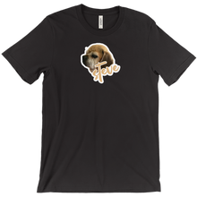 amorosoviolin T-Shirts