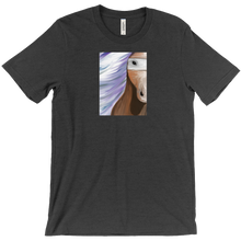 Maly’s Horse T-Shirts
