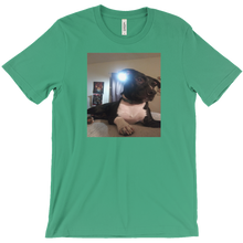 Bowser T-Shirts
