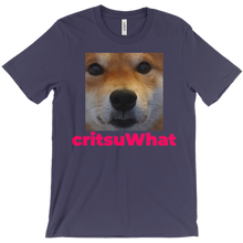 critsuWhat T-Shirt