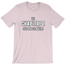 ICI chapitre 1 fais pas le malin