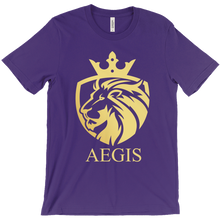 Official AEGIS T-Shirt