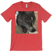 fezinafish T-Shirts