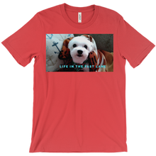 thepowerchordchannel T-Shirts