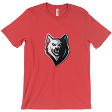 brady_barron T-Shirts