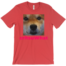 critsuWhat T-Shirt