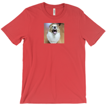 nvstruggle T-Shirts