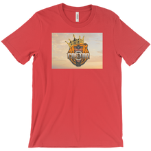 costag4mer14 T-Shirts