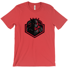 polartrainvevo T-Shirts