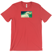 duck_tafi_ T-Shirts