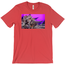 Kushector T-Shirt 1