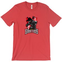 gantris993 T-Shirts