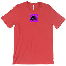 canalbellarahackv14 T-Shirts