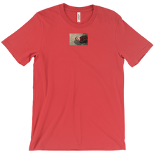 reemos T-Shirts