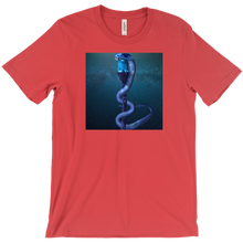 pallando2 T-Shirts