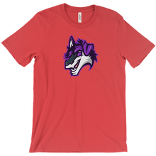 flameythedrusky T-Shirts
