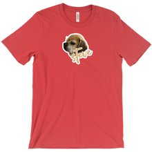 amorosoviolin T-Shirts
