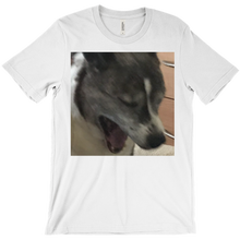 fezinafish T-Shirts