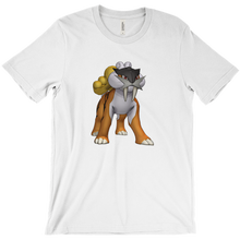 danyv1pokelandlegends T-Shirts