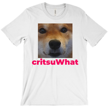 critsuWhat T-Shirt