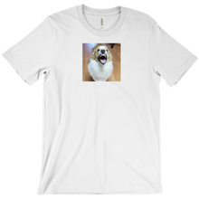 nvstruggle T-Shirts