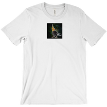 lixcis T-Shirts