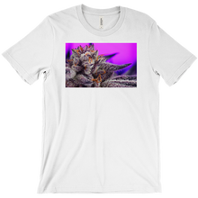 Kushector T-Shirt 1