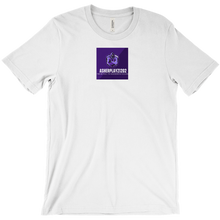 asherplayz1202 T-Shirts