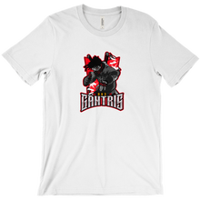 gantris993 T-Shirts