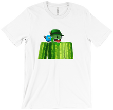 spicywatermelongamer T-Shirts