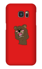 BEAR CASE