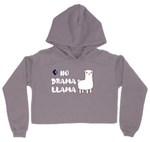 NDL Crop Hoodie