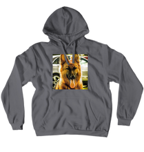 The dexter hoodie (No-Zip/Pullover)
