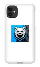 litenrisegaming iPhone Phone Cases