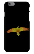 lt_raven98 iPhone Phone Cases