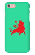 babylonfallsoundsystem iPhone Phone Cases