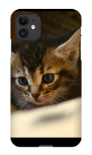 pamplemousse2stv iPhone Phone Cases